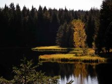 herbststimmung am vogtlandsee.jpg
